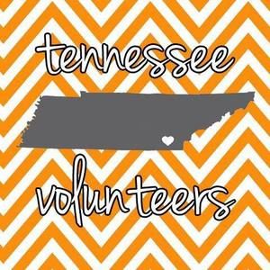 Meet your Posher, Tory